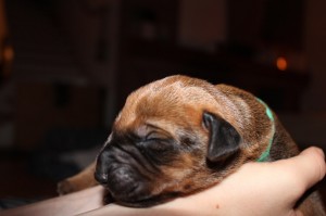 2012-07-18_B-Wurf 030