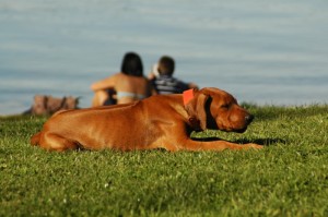 DSC_2698_2012_10_20_135755