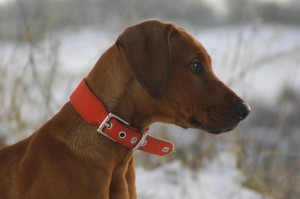 DSC_2815_2012_10_28_161455