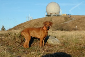 DSC_2891_2012_11_15_155614