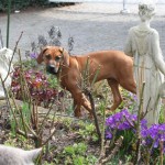 Da ist doch wer.... Da ist doch wer....