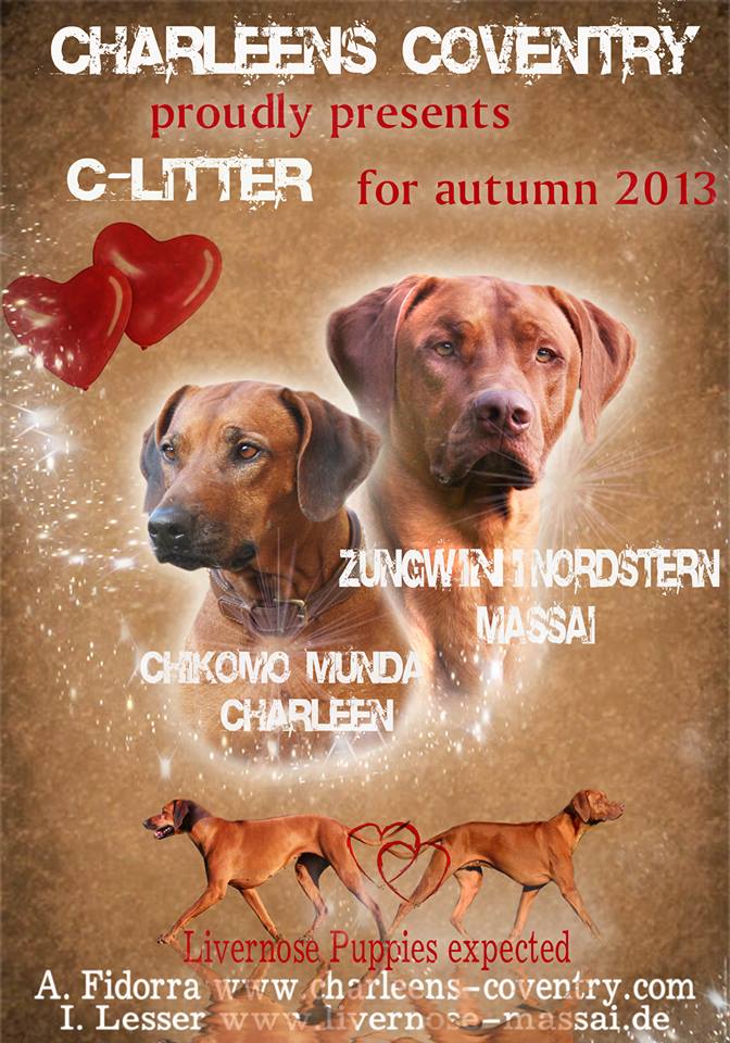 2013_Chawini_Dogpoint oelde