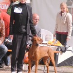 2013-09-15_Show Krefeld - Bahati