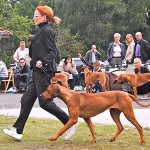 2013-09-15_Show Krefeld - Bayode