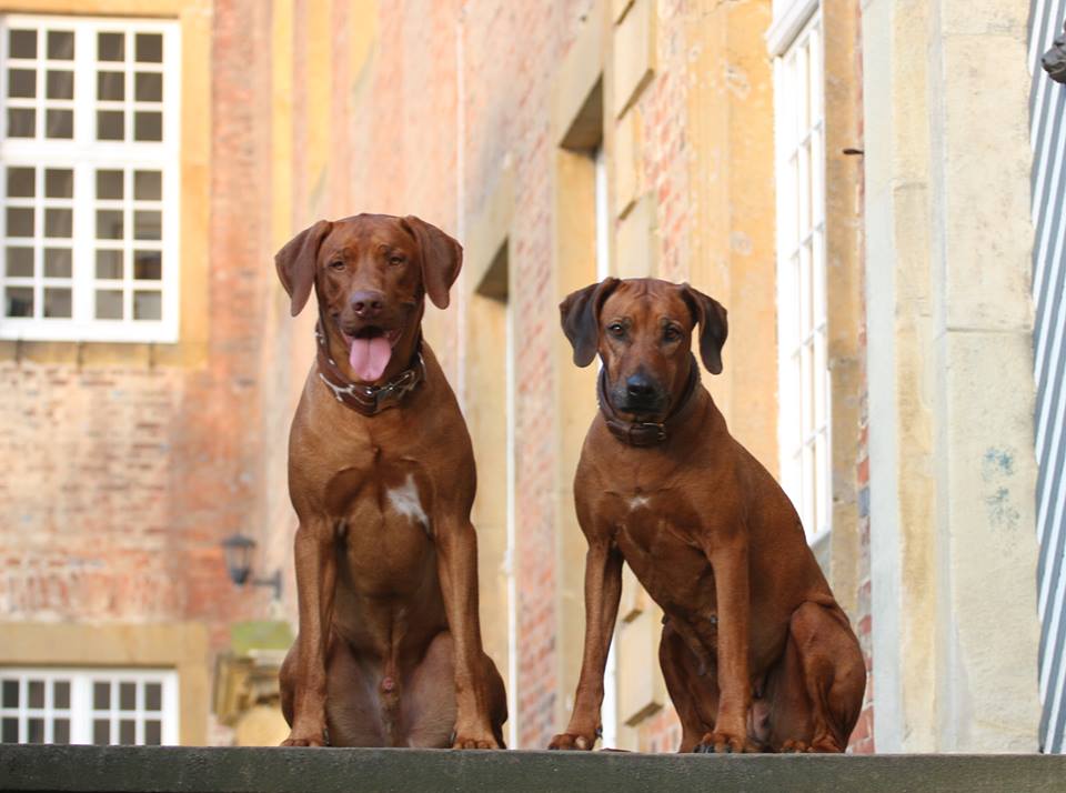 2014-02-01_Hanna und Massai