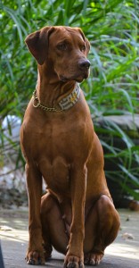 2024-09-01_Habeebah II