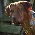 2024-08-23_BeeBee 2024-08-23_BeeBee