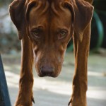 2024-09-01 Habeebah 2024-09-01 Habeebah