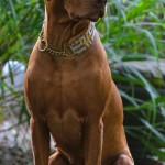 2024-09-01_Habeebah II 2024-09-01_Habeebah II