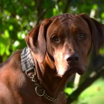 2024-09-01_Habeebah III 2024-09-01_Habeebah III