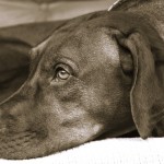 2024-09-14_habeebah 2024-09-14_habeebah