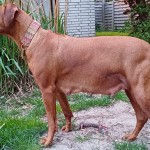 2026-05-13_BeeBee II