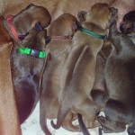 2026-05-27_Babies